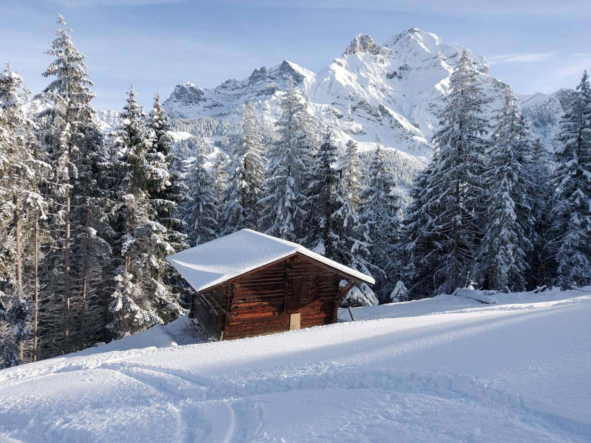 Apartment Laerchehuus By Interhome Adelboden Exterior photo